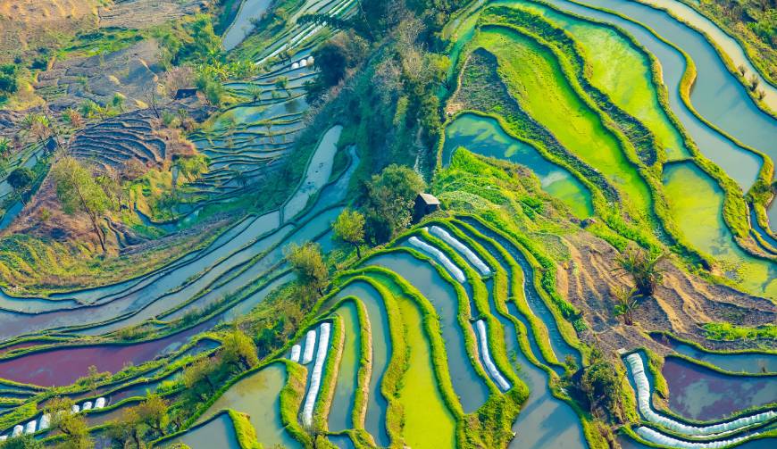 宝妈必备神器：咸丰县产品视频拍摄轻松育儿好帮手
