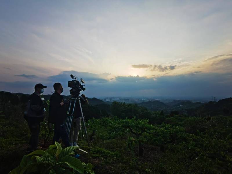 聚焦咸丰县产品宣传视频拍摄公司，用专业实力铸就品牌传播传奇