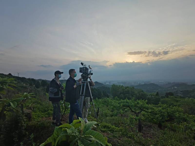 创意破圈！咸丰县电商产品宣传视频用故事化叙事引爆流量