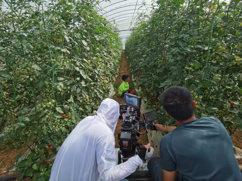 咸丰县产品宣传视频拍摄公司进阶指南，助力品牌抢占传播高地